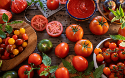 5 sencillos pasos para plantar tomates en maceta