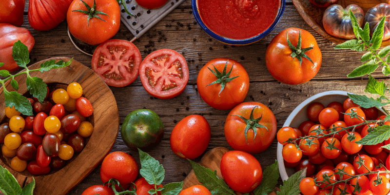 plantar tomates en surcos